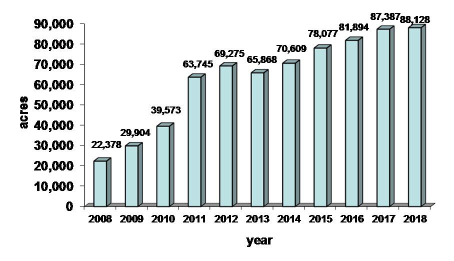 NMP plans over 11 years