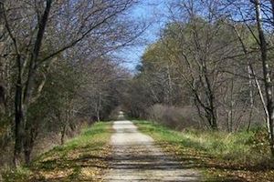 Friendship State Trail through wooded area.