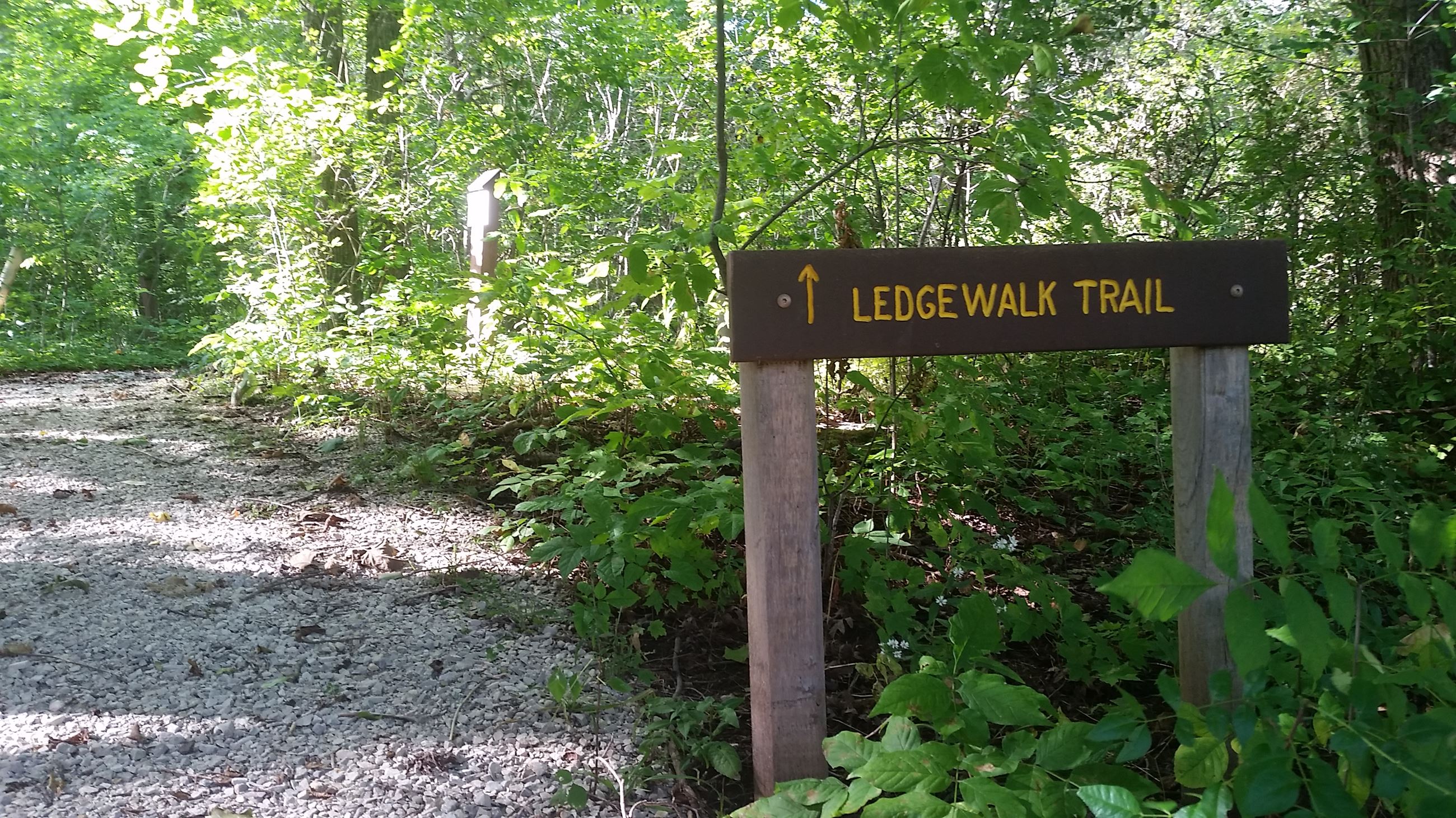 Ledgewalk trail sign in woods.
