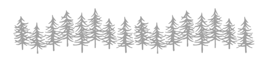 row of evergreen trees in gray color